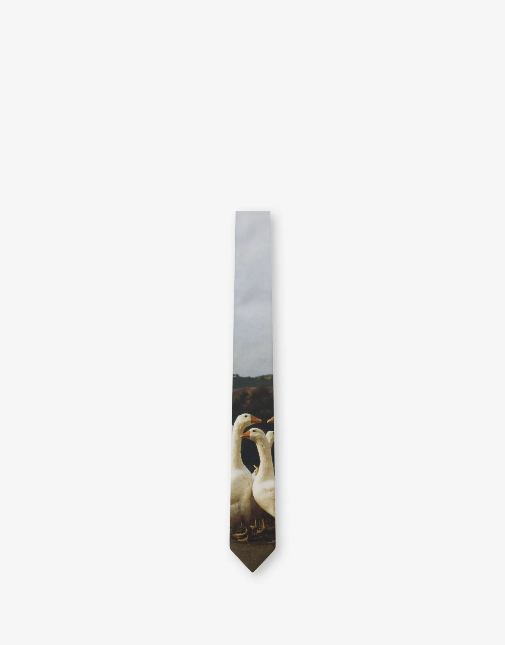 Moschino Scarves & Ties^Goose Print Silk Tie MULTICOLOURED
